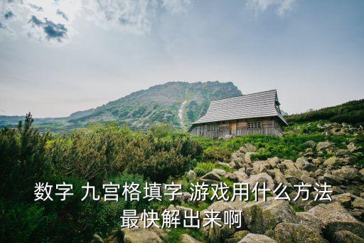  數(shù)字 九宮格填字 游戲用什么方法最快解出來啊