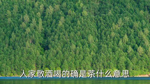 人家敬酒喝的確是茶什么意思