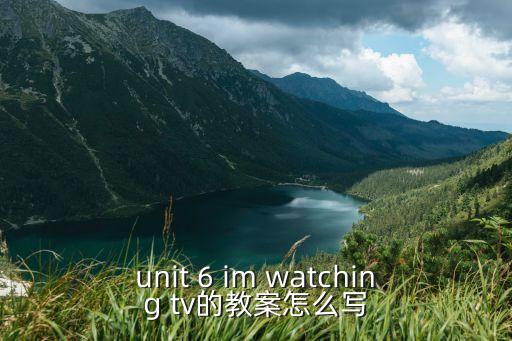 unit 6 im watching tv的教案怎么寫