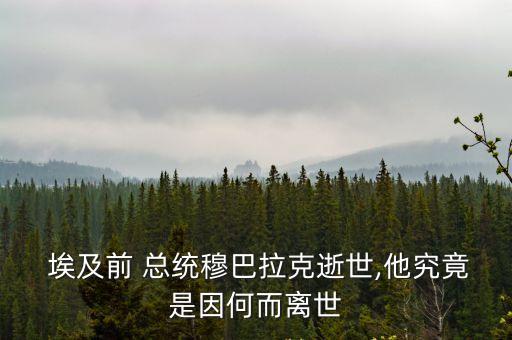  埃及前 總統(tǒng)穆巴拉克逝世,他究竟是因何而離世