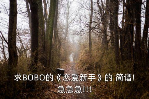 求BOBO的《戀愛新手》的 簡譜!急急急!!!