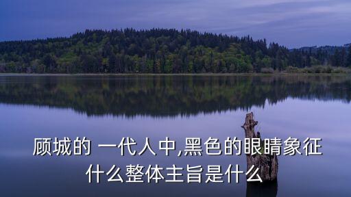 顧城一代人,一代人的黑暗時代?