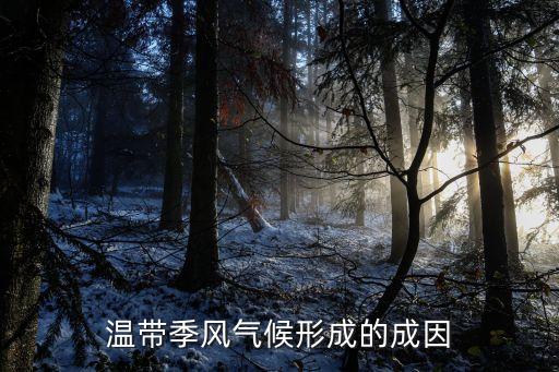 溫帶季風(fēng)氣候成因，溫帶季風(fēng)氣候成因
