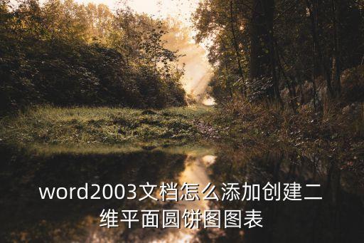 word2003文檔怎么添加創建二維平面圓餅圖圖表