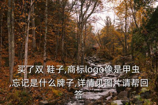 買了雙 鞋子,商標(biāo)logo像是甲蟲,忘記是什么牌子,詳情見圖片請幫回答