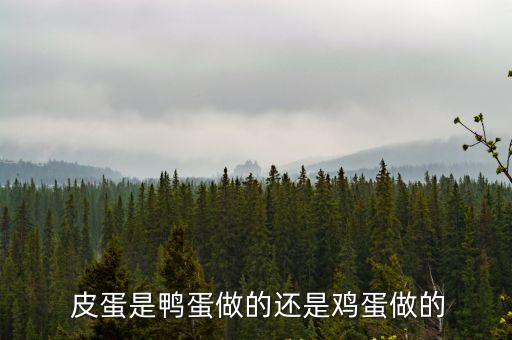 皮蛋是什么蛋做的,蛋白凝膠中形成白色晶體簇制作皮蛋注意事項