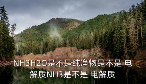 nh3是電解質嗎,水溶液或熔融狀態下幾乎完全電離電解質