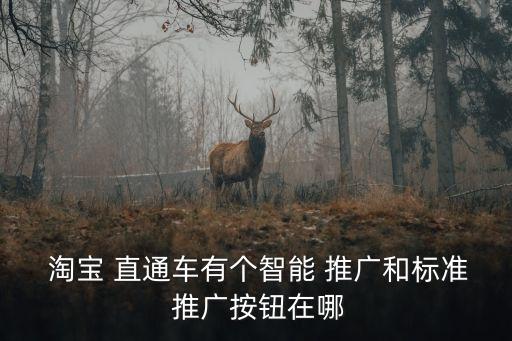 淘寶直通車推廣,淘寶直通車推廣位置與寶貝默認排序無關(guān)