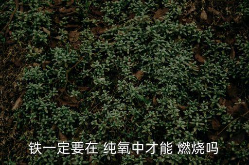 鐵在純氧中燃燒,氧在不空中燃燒嗎?