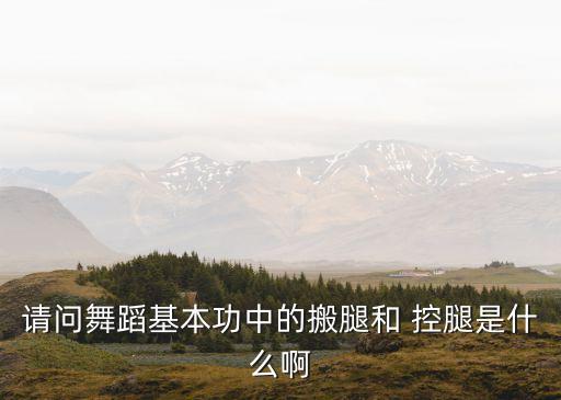請問舞蹈基本功中的搬腿和 控腿是什么啊