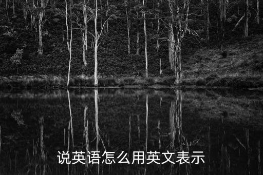 說英語用英語怎么說，說英語用英語怎么說