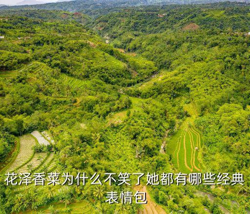 搞事情表情包,微笑表情包再現社交媒體平臺