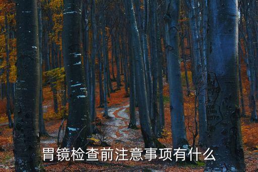 胃鏡檢查前注意事項(xiàng)，胃鏡檢查前注意事項(xiàng)有什么