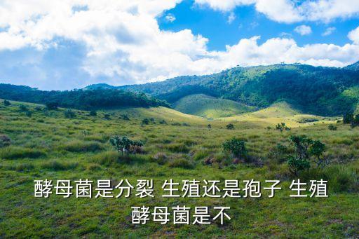 酵母菌的生殖方式,酵母菌無性繁殖最常見方式是發(fā)芽