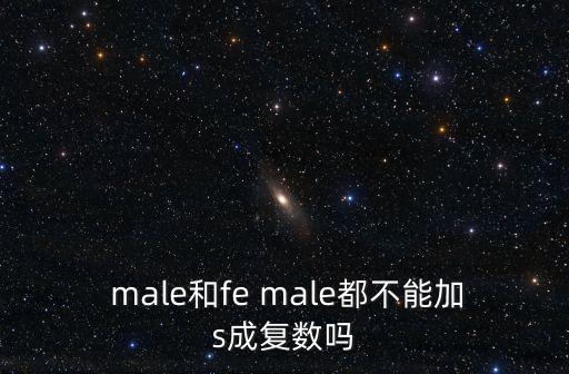  male和fe male都不能加s成復(fù)數(shù)嗎