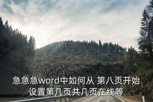 急急急word中如何從 第八頁(yè)開(kāi)始設(shè)置第幾頁(yè)共幾頁(yè)在線等