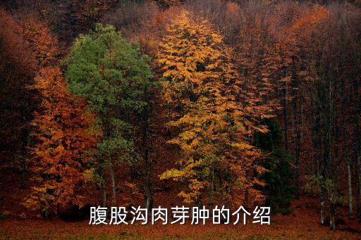 杜諾凡病,感染組織細胞出現卵圓形體杜諾凡病是慢性傳染病