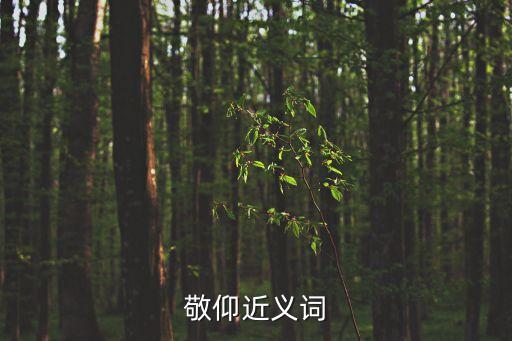 敬仰近義詞
