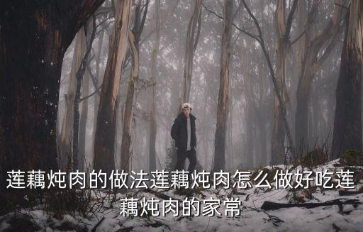 蓮藕燉肉的做法蓮藕燉肉怎么做好吃蓮藕燉肉的家常