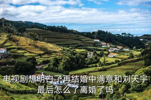 電視劇想明白了再結(jié)婚中滿意和劉天宇最后怎么了離婚了嗎