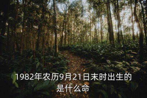 1982年農歷9月21日末時出生的是什么命