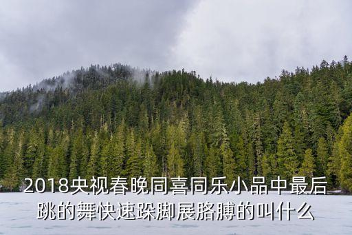 2018央視春晚同喜同樂(lè)小品中最后跳的舞快速跺腳展胳膊的叫什么