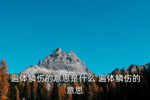 遍體鱗傷,被歹徒打遍體鱗傷中國習語:身體如魚鱗