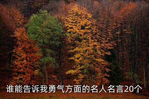 勇氣的名人名言，關(guān)于勇氣的名言有那些