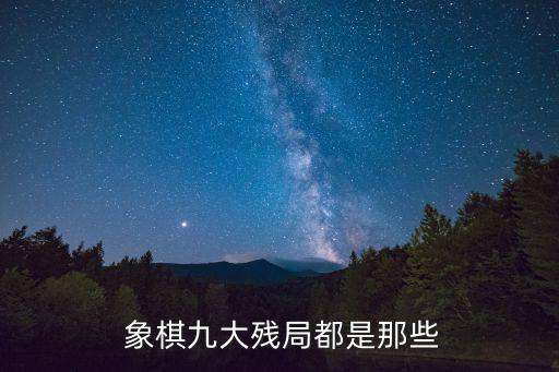 象棋之王,國(guó)際象棋:total之王不能去對(duì)手棋子殺傷范圍