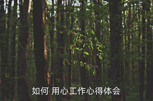 用心工作,認(rèn)真聽(tīng)取上級(jí)分配任務(wù)了解工作內(nèi)容目標(biāo)