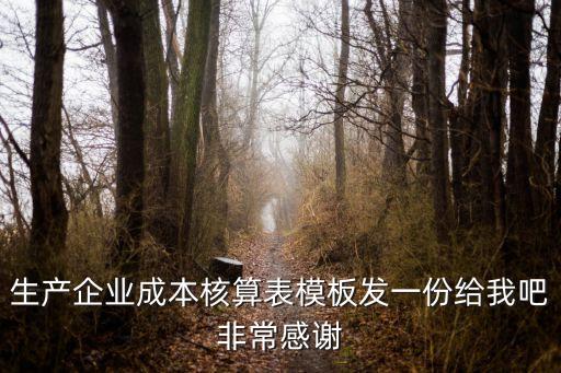 生產企業成本核算表模板發一份給我吧非常感謝