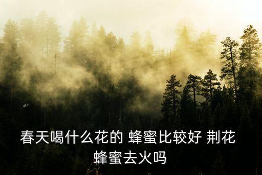 春天喝什么花的 蜂蜜比較好 荊花 蜂蜜去火嗎