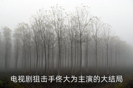 狙擊手結局，電視劇狙擊手佟大為主演的大結局