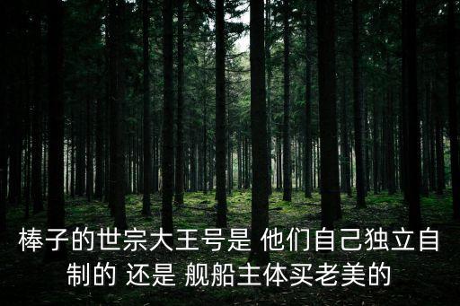 世宗大王級驅逐艦，棒子世宗大王級戰艦的發動機是棒子國自產的嗎