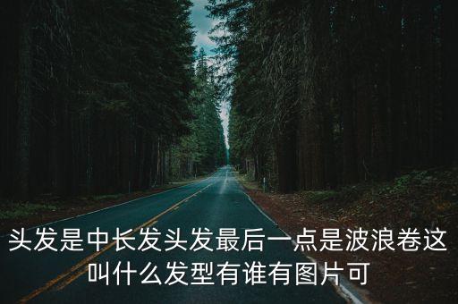 頭發是中長發頭發最后一點是波浪卷這叫什么發型有誰有圖片可