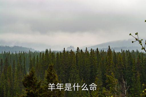 屬羊是什么命，羊年是什么命