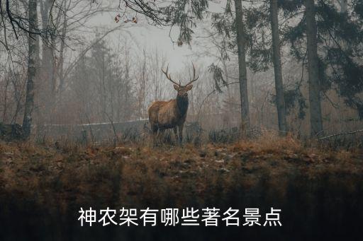 神龍架旅游，神農架旅游景點 神龍架都有哪些好玩的旅游景點