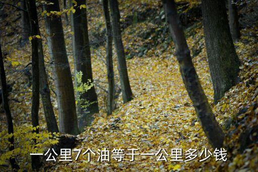 一個油多少錢,加油口蓋片要完好無損以免汽車油箱溢出