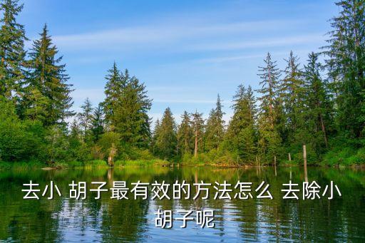 去除胡子,刮掉剃須刀:小胡子可用刮毛膏和蜂蠟去掉!