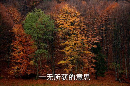 一無所得，一無所獲的意思