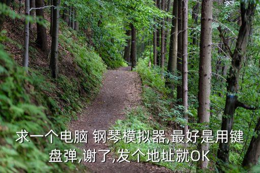 求一個電腦 鋼琴模擬器,最好是用鍵盤彈,謝了,發(fā)個地址就OK