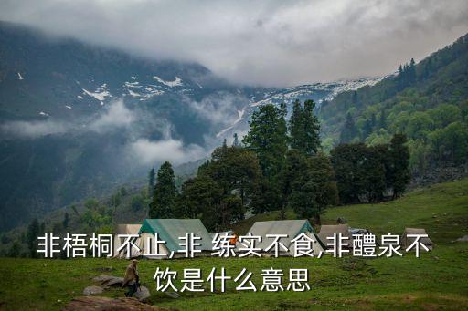 練實,不只梧桐不練實不在禮泉吃，