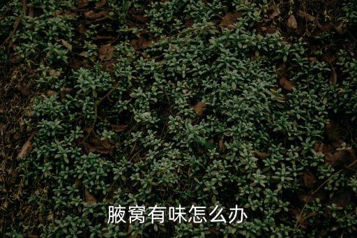 胳肢窩有味怎么辦，胳肢窩有點(diǎn)味道怎么除掉它