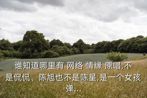 網絡情緣原唱,網絡情緣是侃侃的成名作
