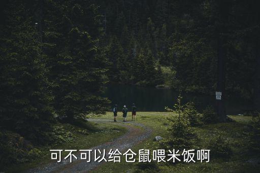 倉鼠可以吃米飯嗎，可以給倉鼠喂米飯嗎