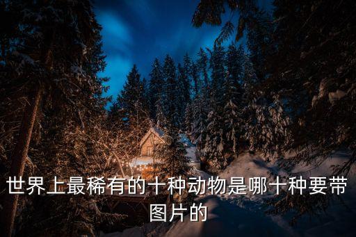 世界上最稀有的十種動(dòng)物是哪十種要帶圖片的