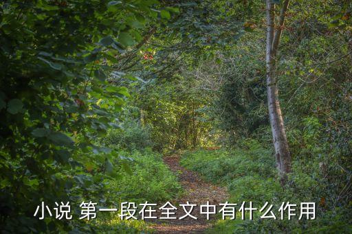 第一段的作用,第一章引出第二章的作用取決于整部小說的作者