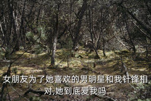 女朋友為了她喜歡的男明星和我針鋒相對,她到底愛我嗎