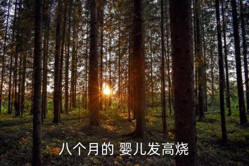 八個(gè)月的 嬰兒發(fā)高燒