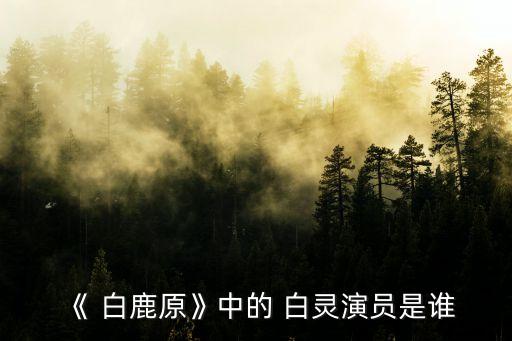 白鹿原白靈,第二部:以白嘉軒為敘事核心展開兩大家族糾葛情節(jié)